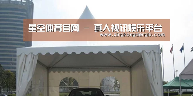 案例标题八
