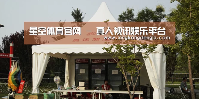 案例标题五