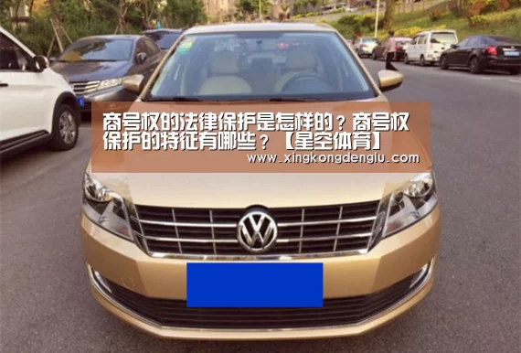 商号权的法律保护是怎样的?商号权保护的特征有哪些?【星空体育】(图2) 星空体育