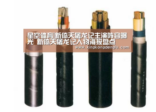 星空体育|新倚天屠龙记主演阵容曝光 新倚天屠龙记人物海报盘点(图4) 星空体育